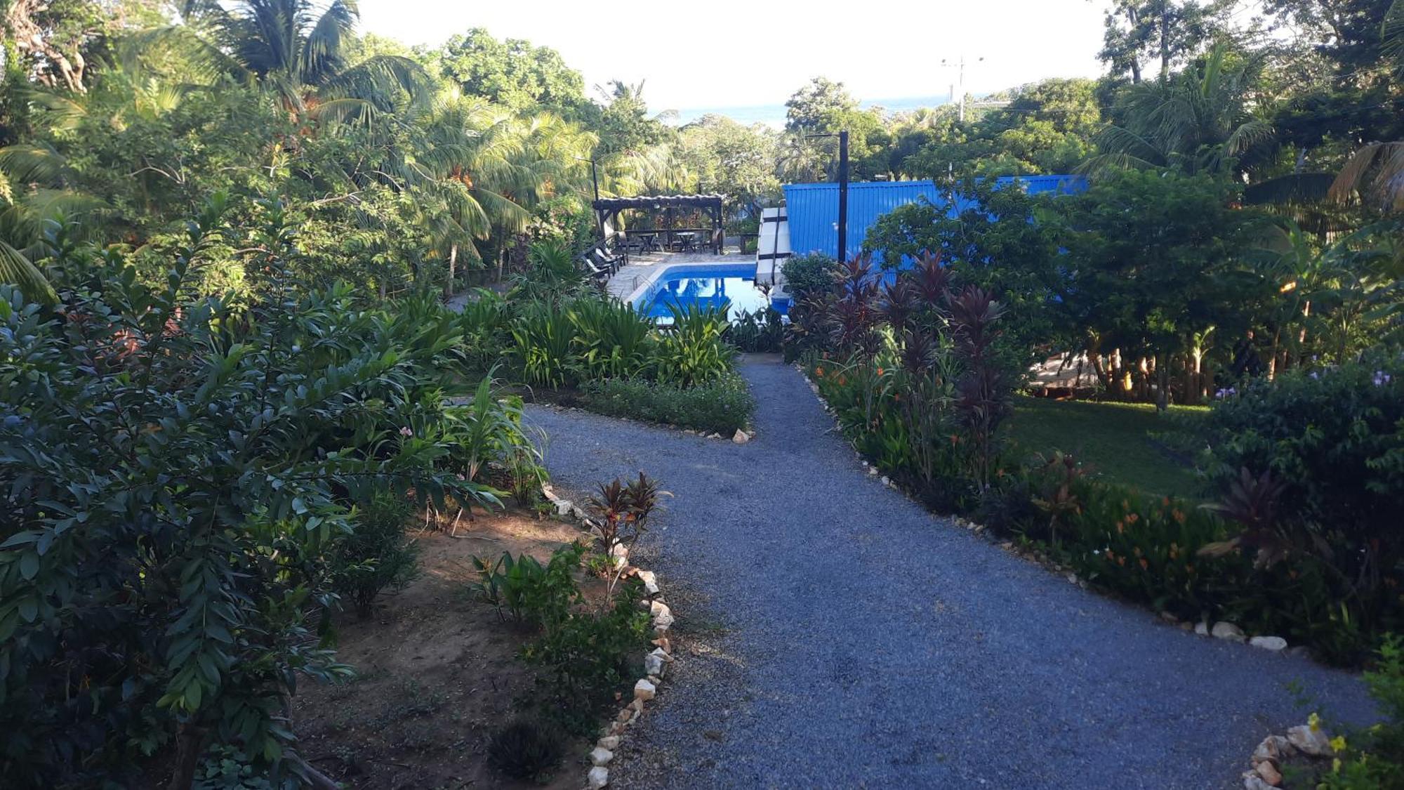 Guava Grove Resort & Villas Sandy Bay Exterior foto