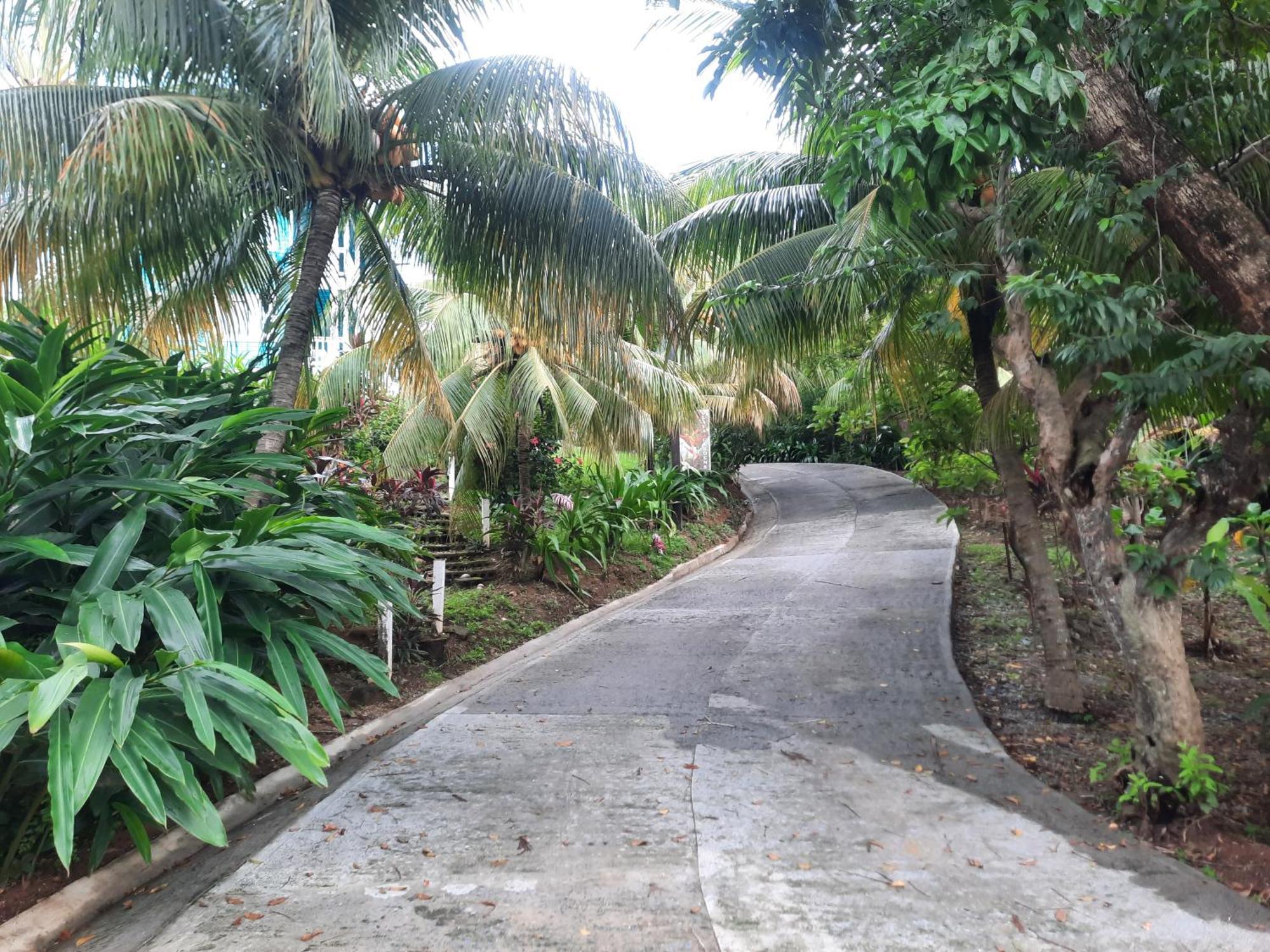 Guava Grove Resort & Villas Sandy Bay Exterior foto
